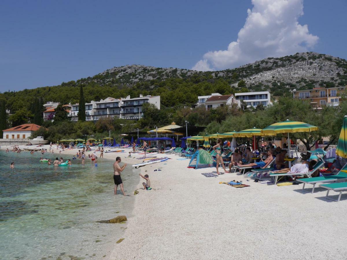 Apartmani Dalmacija Seget Vranjica Extérieur photo